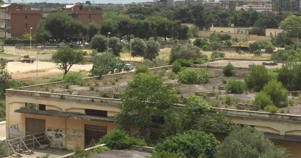 Bari, il misterioso edificio in rovina che tutti chiamano "l'ex fabbrica della Ferrero"